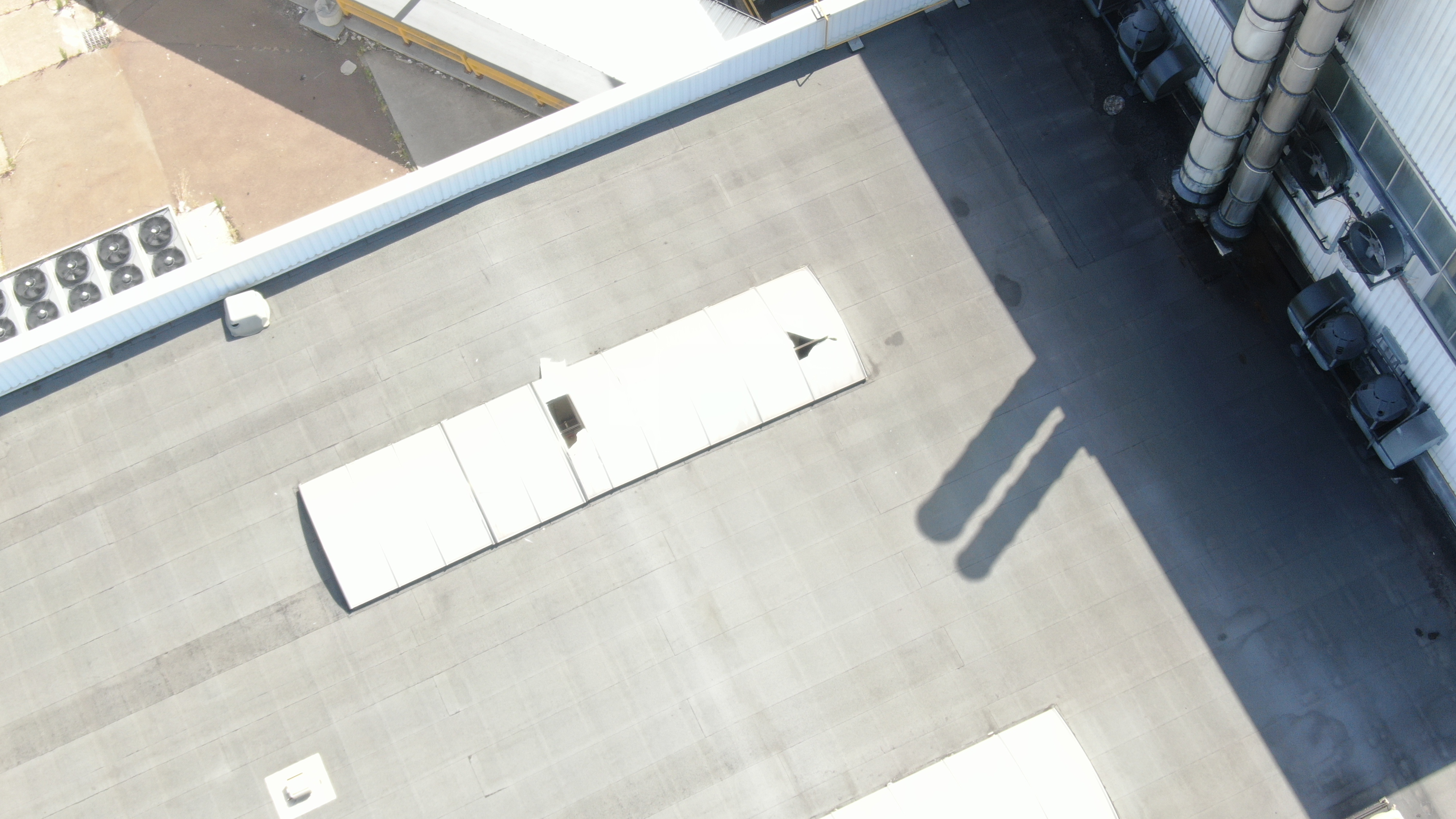 Dji 0777